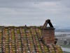 Castiglione della Pescaia - Casa Rossa Diaccia Botrona