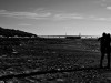 Spiagge Bianche Rosignano Solvay
