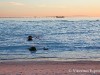 Spiagge Bianche Rosignano Solvay