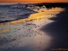 Spiagge Bianche Rosignano Solvay