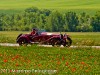 Massimo Pelagagge Mille Miglia