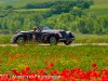 Massimo Pelagagge Mille Miglia
