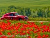 Massimo Pelagagge Mille Miglia