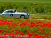 Massimo Pelagagge Mille Miglia