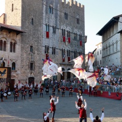 Gruppo Fotografico Massa Marittima BFI - Paolo Buccianti - Massa Marittima Sbandieratori