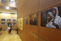 Mostra Garzone Mostra Garzone